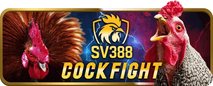 Cá cược bóng đá trên Dabet88 App